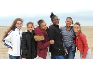 Les gymnastes et la juge
